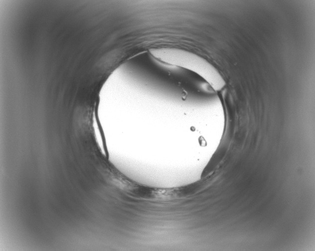 X0000065250141200603172214