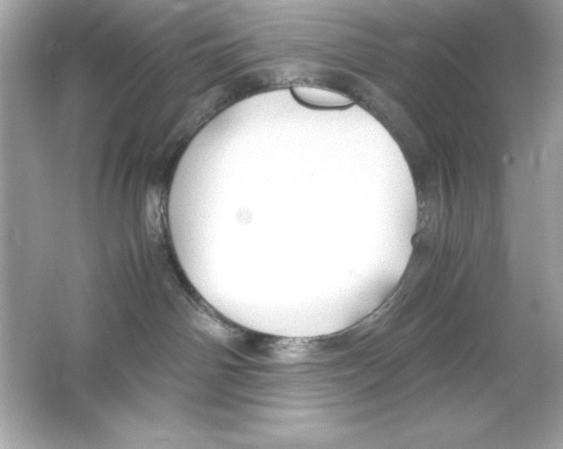 X0000065250142200603172214