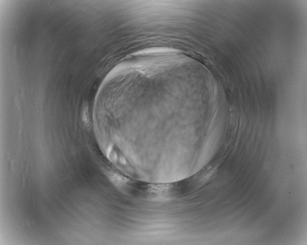 X0000065250143200603172214