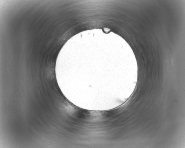 X0000065250144200603172214