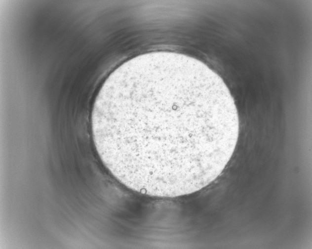 X0000065250146200603172213