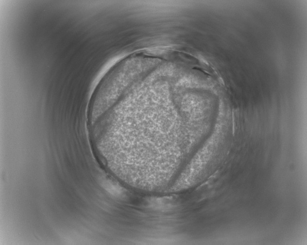 X0000065250147200603172213