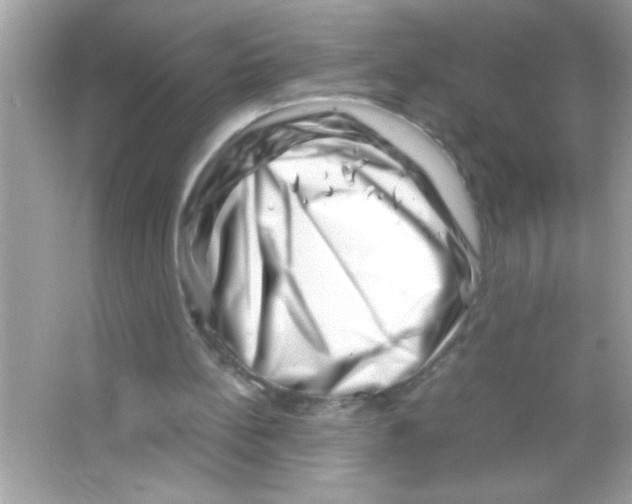 X0000065250148200603172213