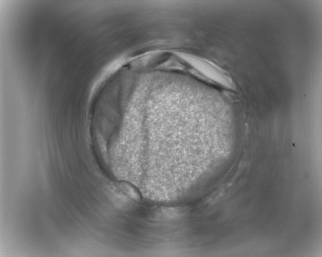 X0000065250149200603172213