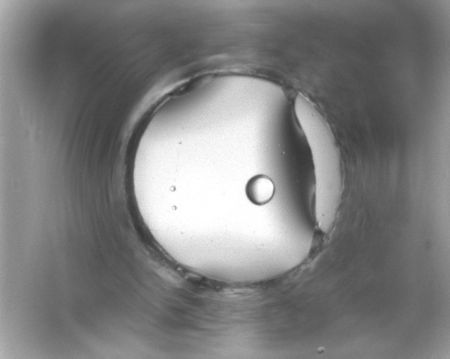 X0000065250150200603172213