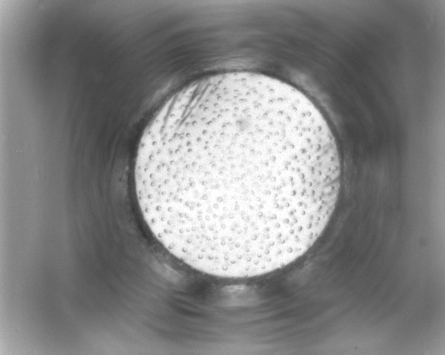 X0000065250153200603172213