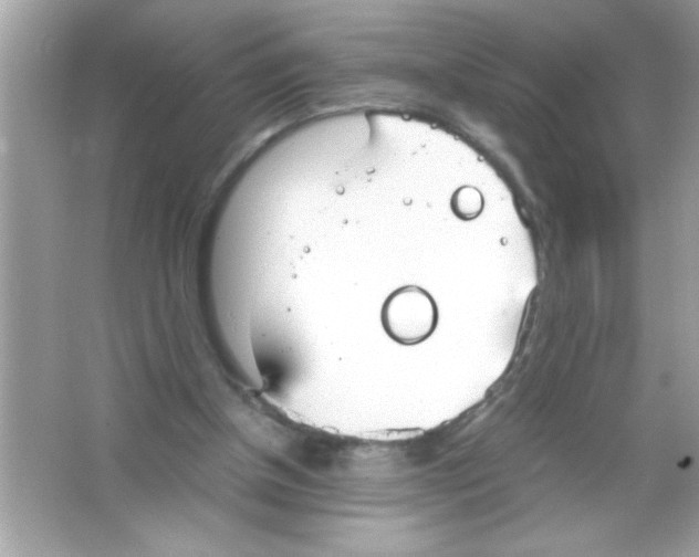 X0000065250154200603172213