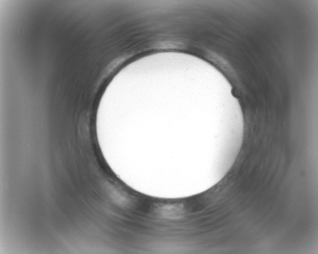 X0000065250155200603172213