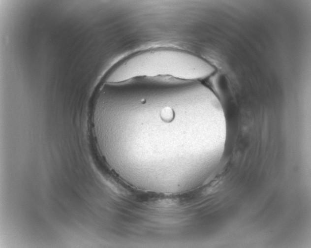 X0000065250156200603172213