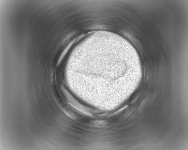 X0000065250157200603172213