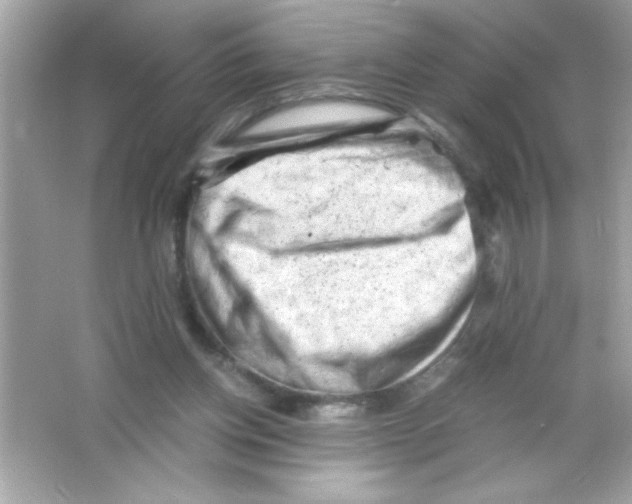 X0000065250158200603172213