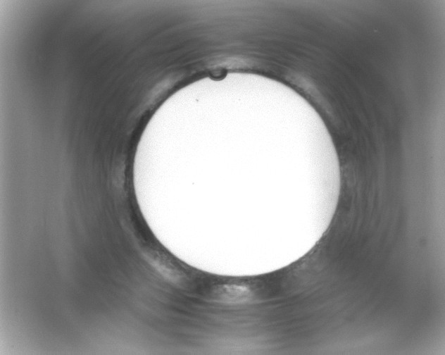 X0000065250159200603172213