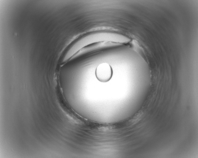 X0000065250160200603172213