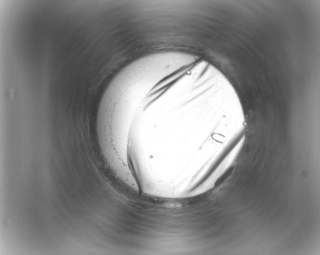 X0000065250162200603172213