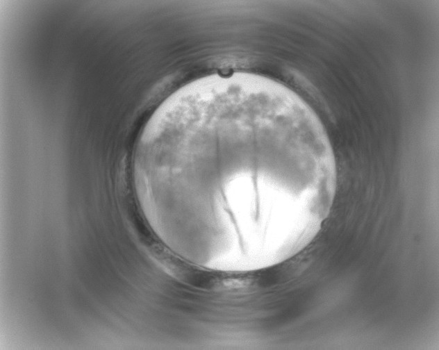 X0000065250163200603172213