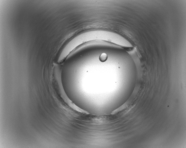 X0000065250164200603172213