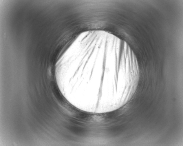 X0000065250166200603172213