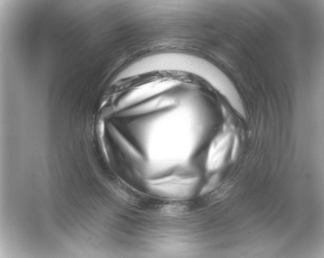 X0000065250168200603172213