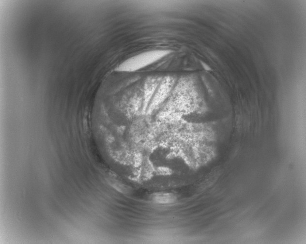 X0000065250169200603172213