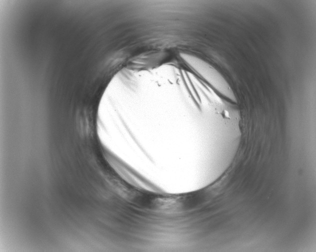 X0000065250170200603172213