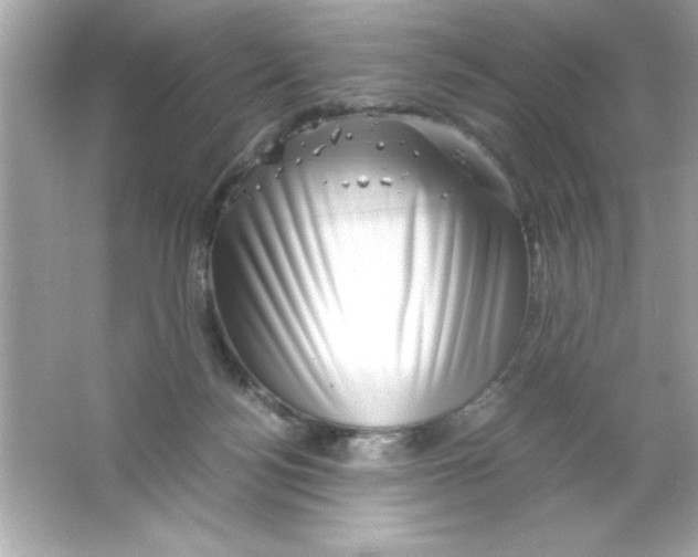 X0000065250172200603172213