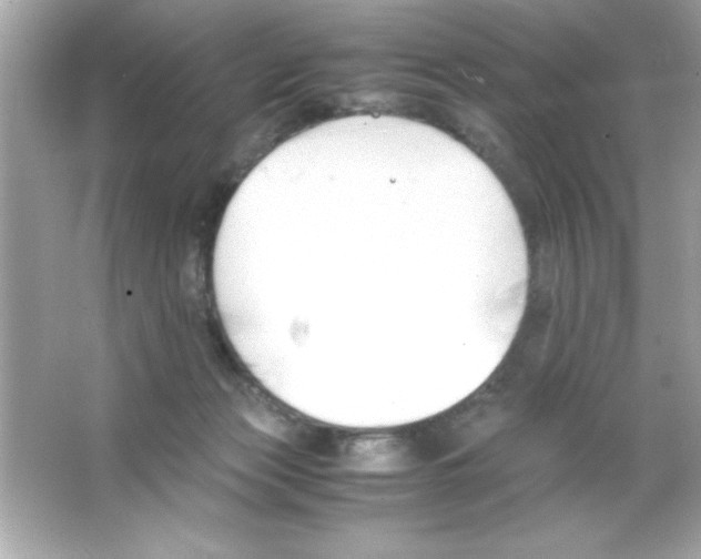 X0000065250173200603172213