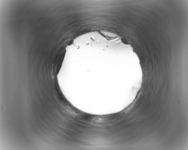 X0000065250174200603172214