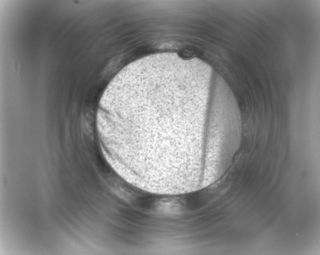 X0000065250175200603172214