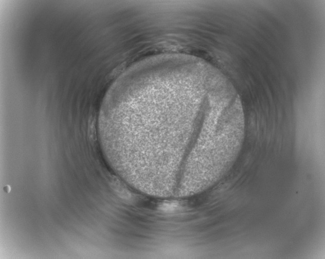 X0000065250177200603172214