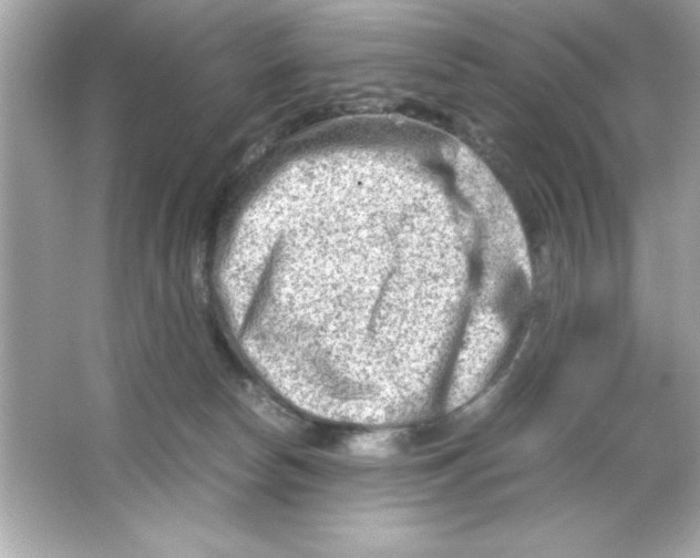 X0000065250178200603172214