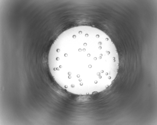 X0000065250179200603172214