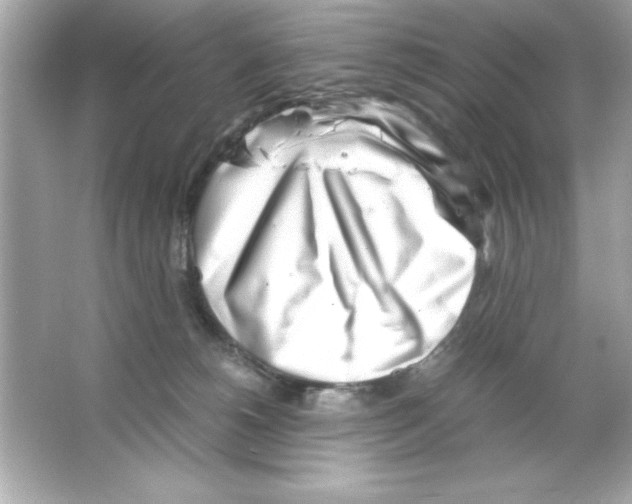 X0000065250180200603172214