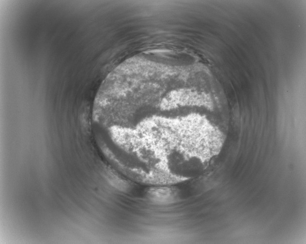 X0000065250181200603172214