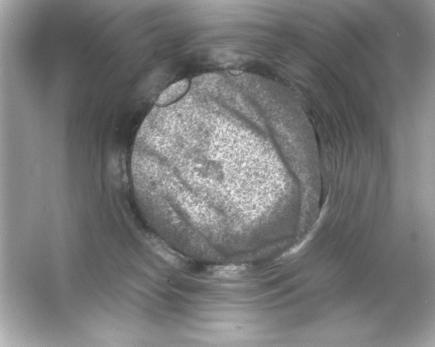 X0000065250182200603172214