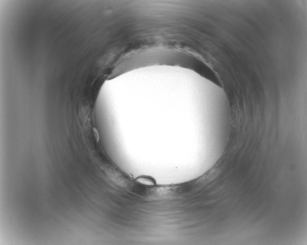 X0000065250184200603172214