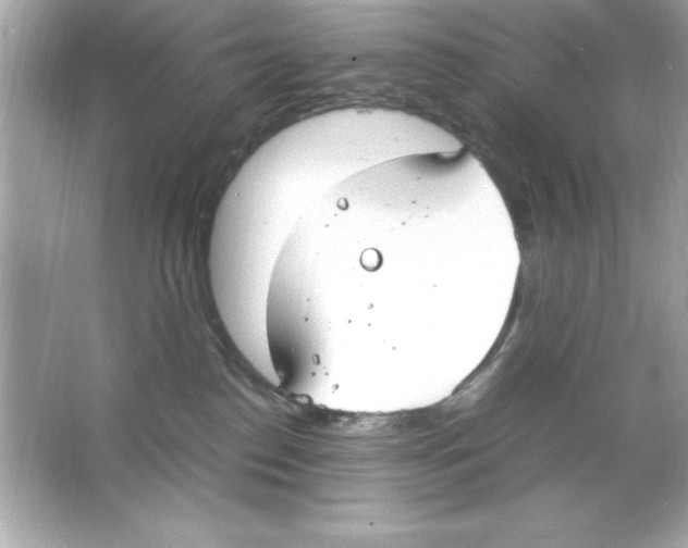 X0000065250186200603172214