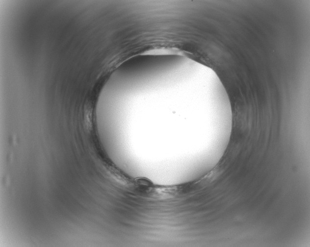 X0000065250188200603172214