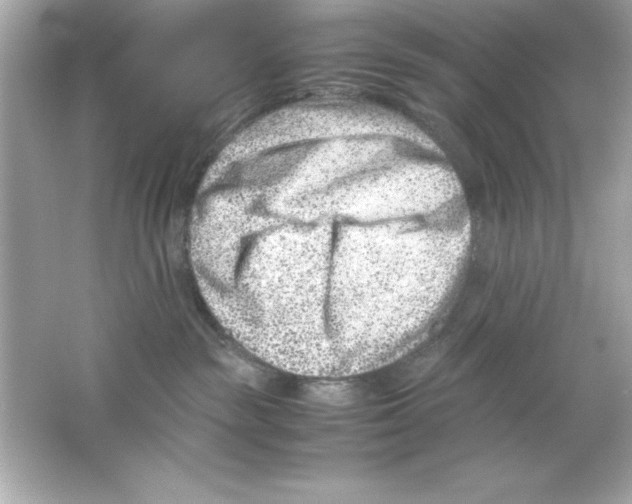 X0000065250189200603172214