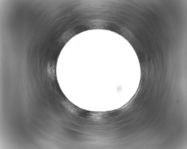 X0000065250190200603172214