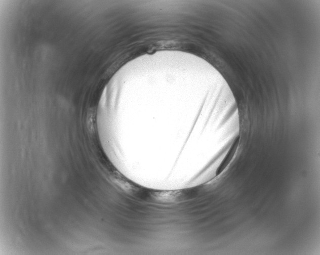 X0000065250191200603172214