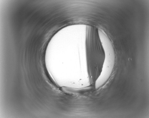 X0000065250193200603172213