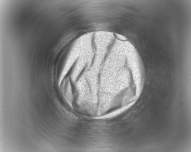 X0000065250194200603172213