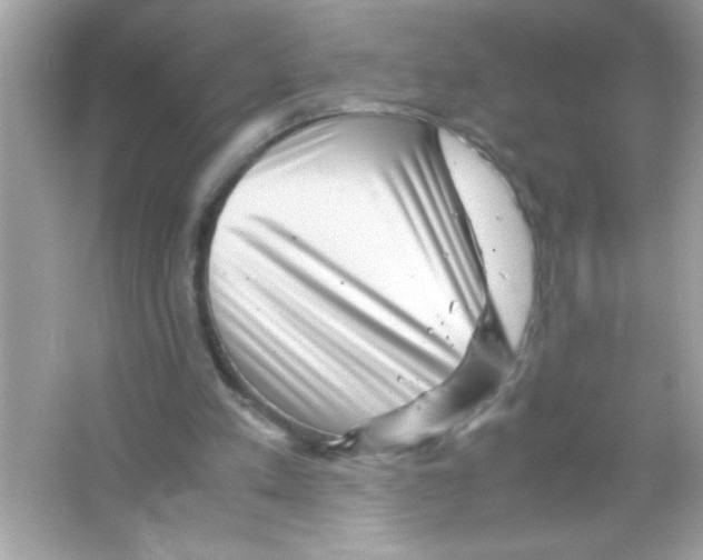 X0000065250197200603172213