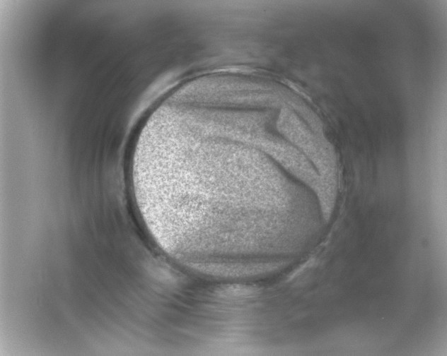 X0000065250198200603172213