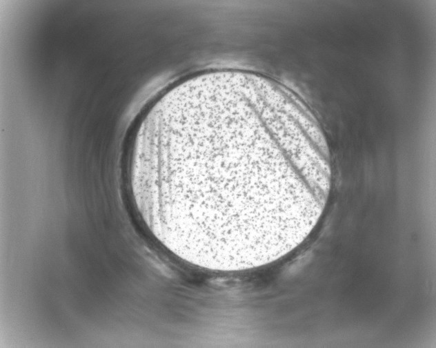 X0000065250199200603172213