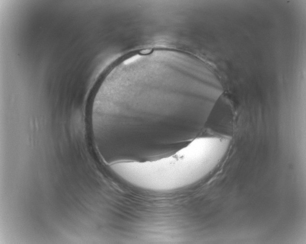 X0000065250200200603172213