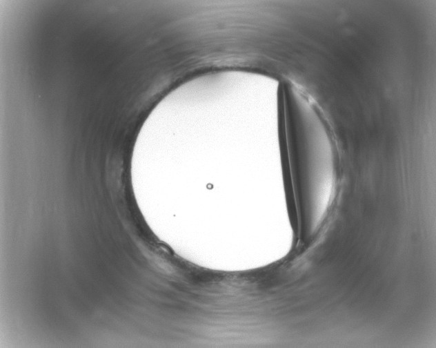 X0000065250201200603172213