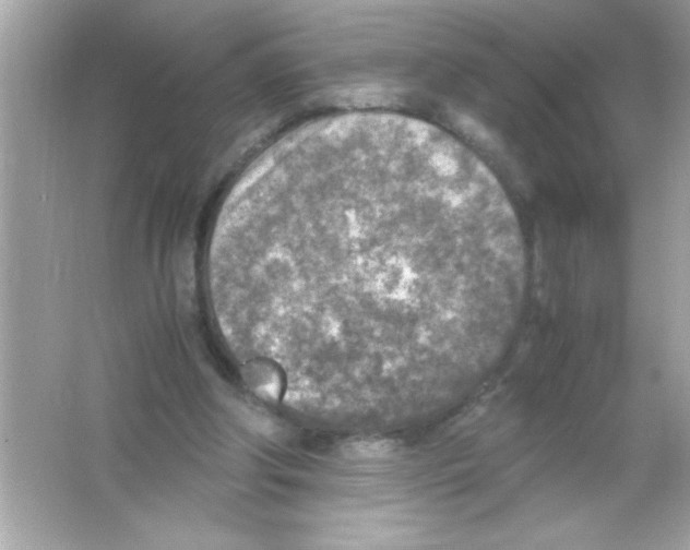 X0000065250202200603172213