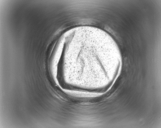 X0000065250203200603172213