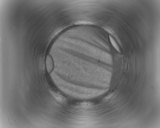 X0000065250204200603172213